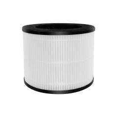 AirExchange 2022150-T FILTERSET 2022150-T FILTER KIT Ersatzfilter passend für Luftfilter Typ 150-T