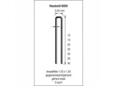 Haubold Befestigung 503214 KL6040 CRVS nicht 6000 Serie 40 mm Länge 20000 Stück