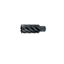 Phantom 621622200 HSS-Co-Kernbohrer Bit Bit 22mm Schnitttiefe 50mm - 1