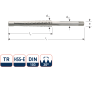 Rotec 356.1200 HSS-G Trapeziumtap TR12 x 3 - 1